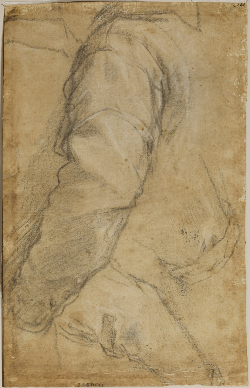 studio di figura a mezzo busto acefala (disegno) di Fiori Federico detto Federico Barocci (secc. XVI/ XVII)