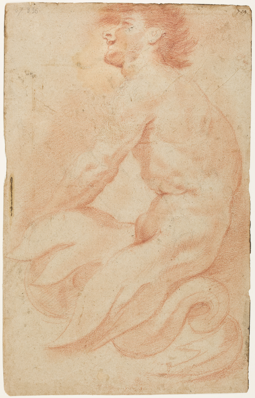 Tritone (disegno) di Sacchi Andrea (sec. XVII)
