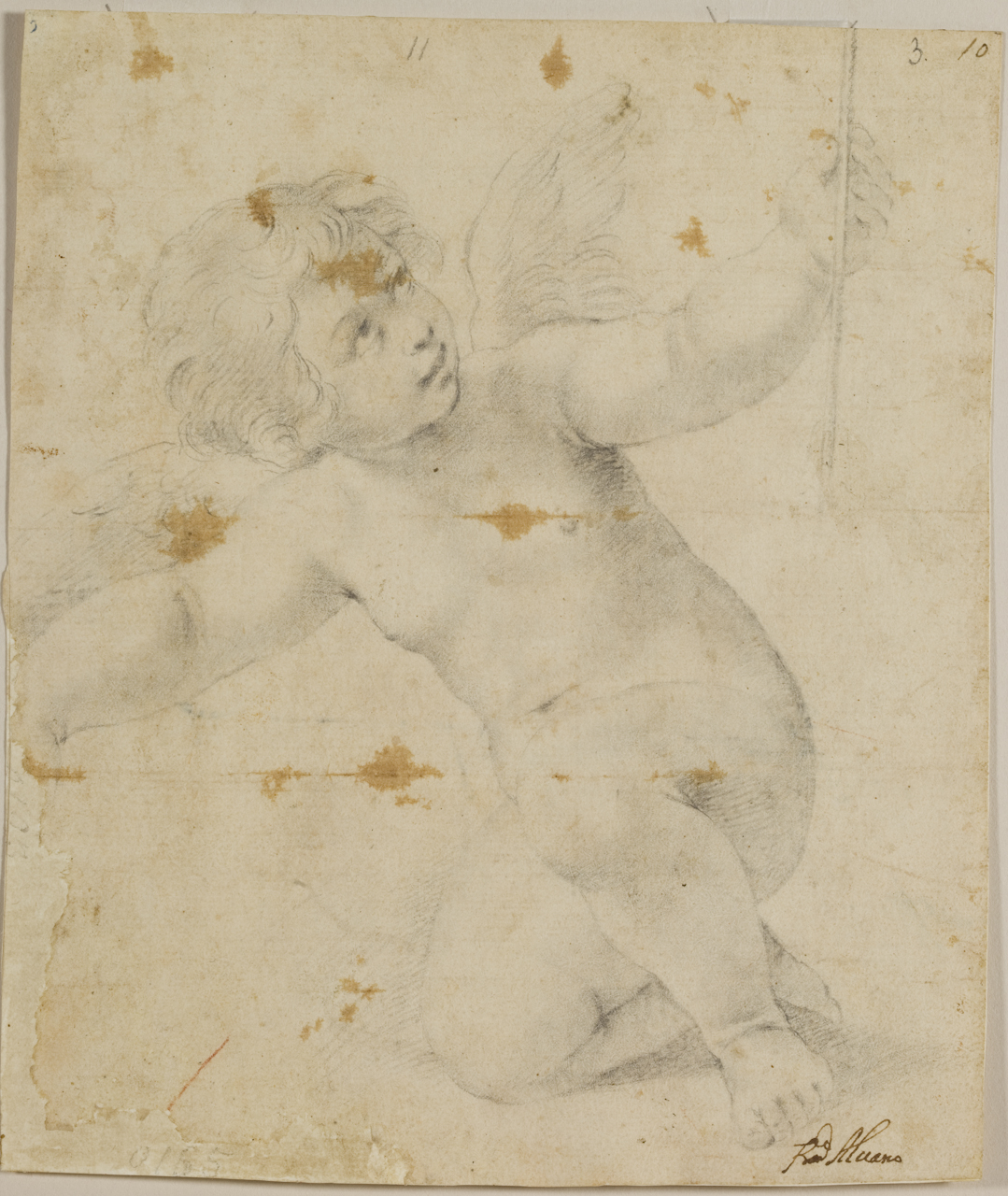 putto (disegno) di Albani Francesco (secc. XVI/ XVII)