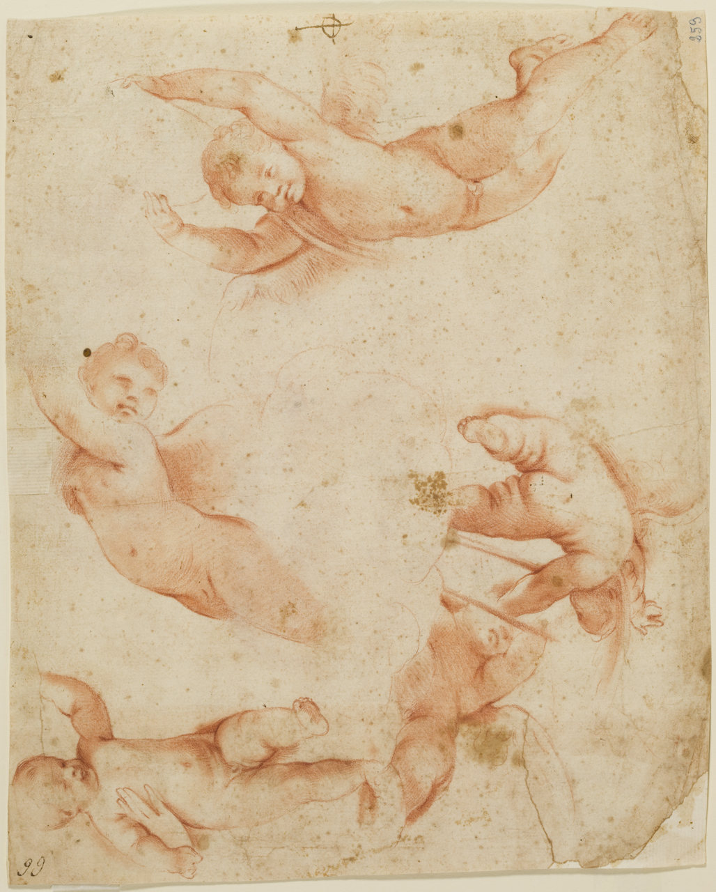 PUTTO SEDUTO, studio di putti (disegno) di Albani Francesco (secc. XVI/ XVII)