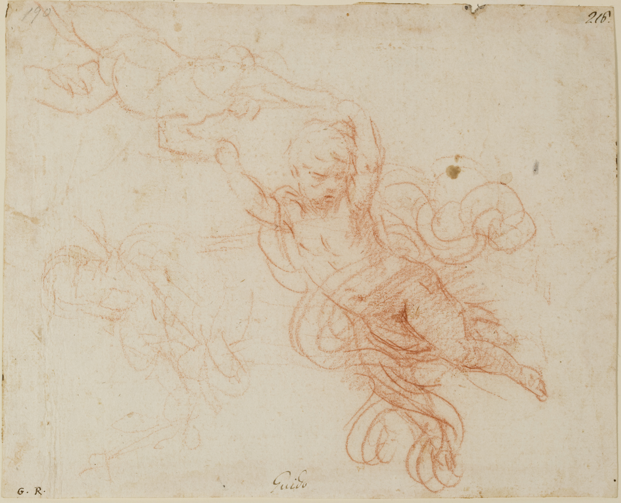 studio di putti (disegno) di Cantarini Simone detto Pesarese (sec. XVII)