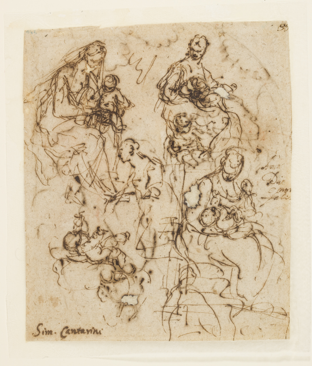 Madonna con Bambino e Santa Caterina, studio di Madonna con Bambino (disegno) di Cantarini Simone detto Pesarese (sec. XVII)