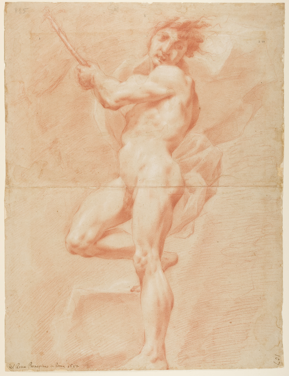 studio per nudo maschile, testa di bambino (disegno) di Rocca Michele (sec. XVII)