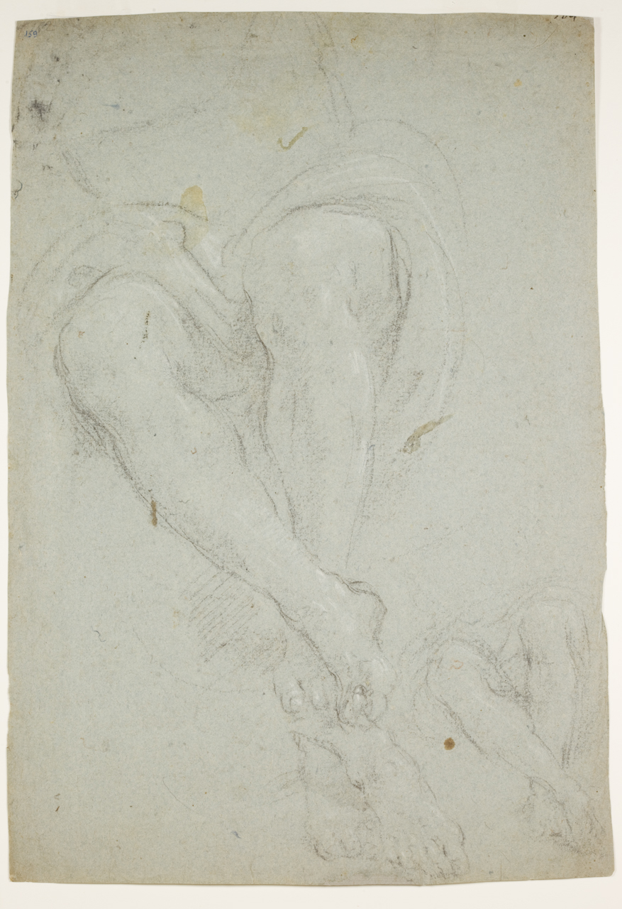 studio di gambe maschili (disegno) di Zampieri Domenico detto Domenichino (secc. XVI/ XVII)