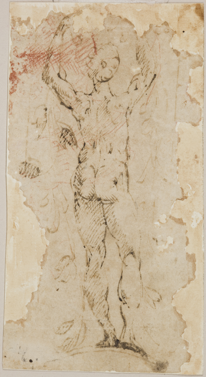 nudo virile di spalle (disegno) di Mazzola Francesco detto Parmigianino (sec. XVI)