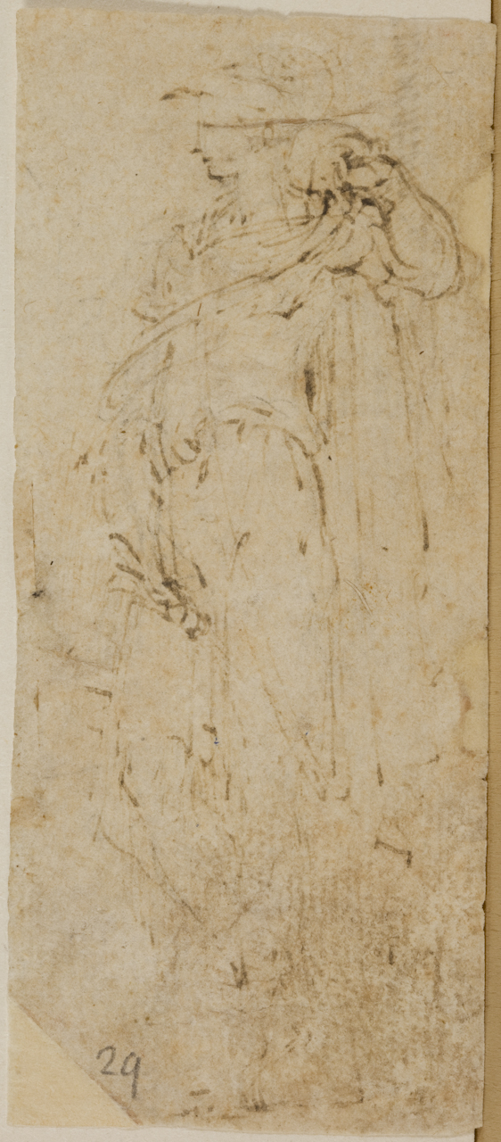 Minerva (disegno) di Mazzola Francesco detto Parmigianino (sec. XVI)