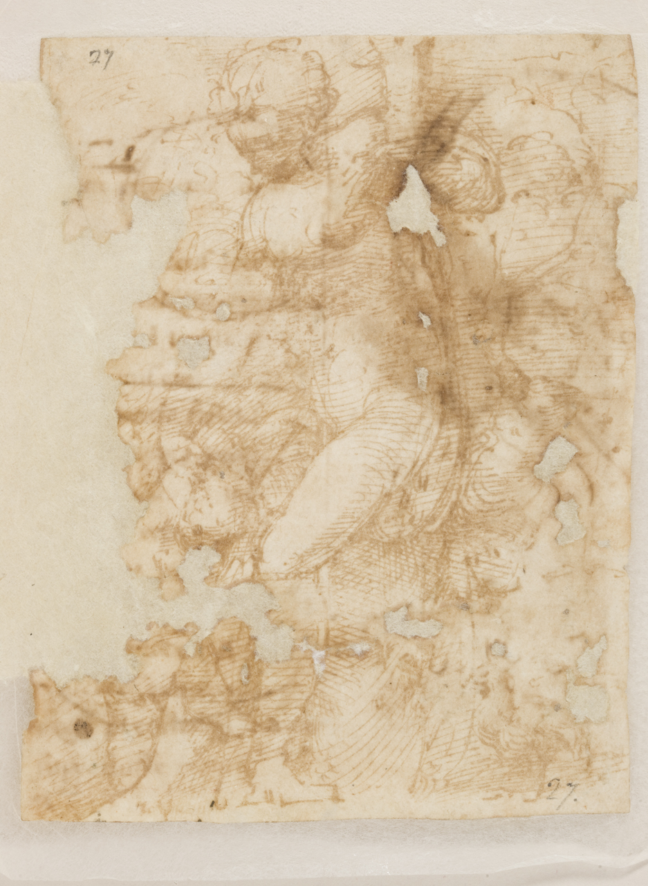 Venere e Cupido, studio di testa di vecchio barbuto (disegno) di Mazzola Francesco detto Parmigianino (sec. XVI)