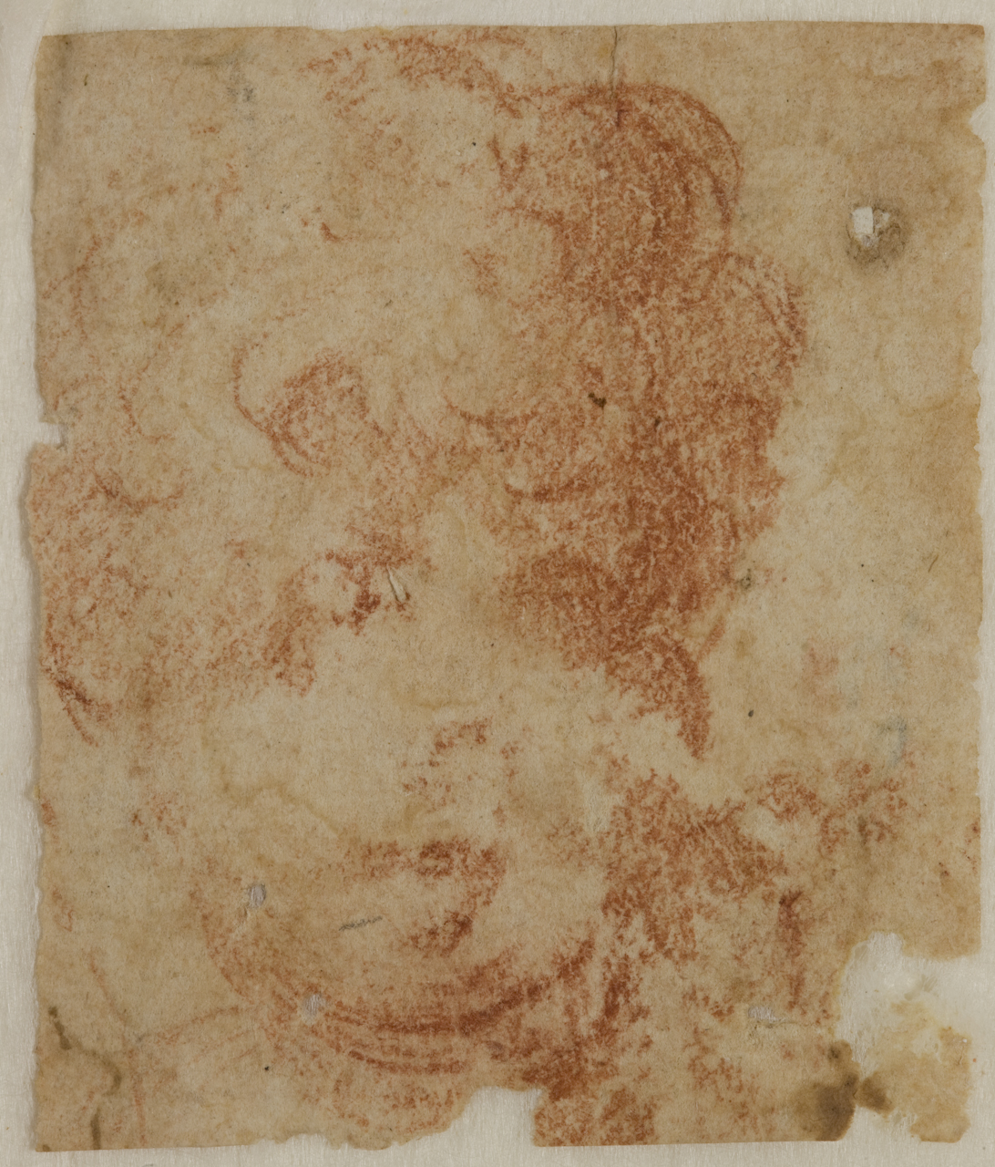 testa di bambino (disegno) di Mazzola Francesco detto Parmigianino (sec. XVI)