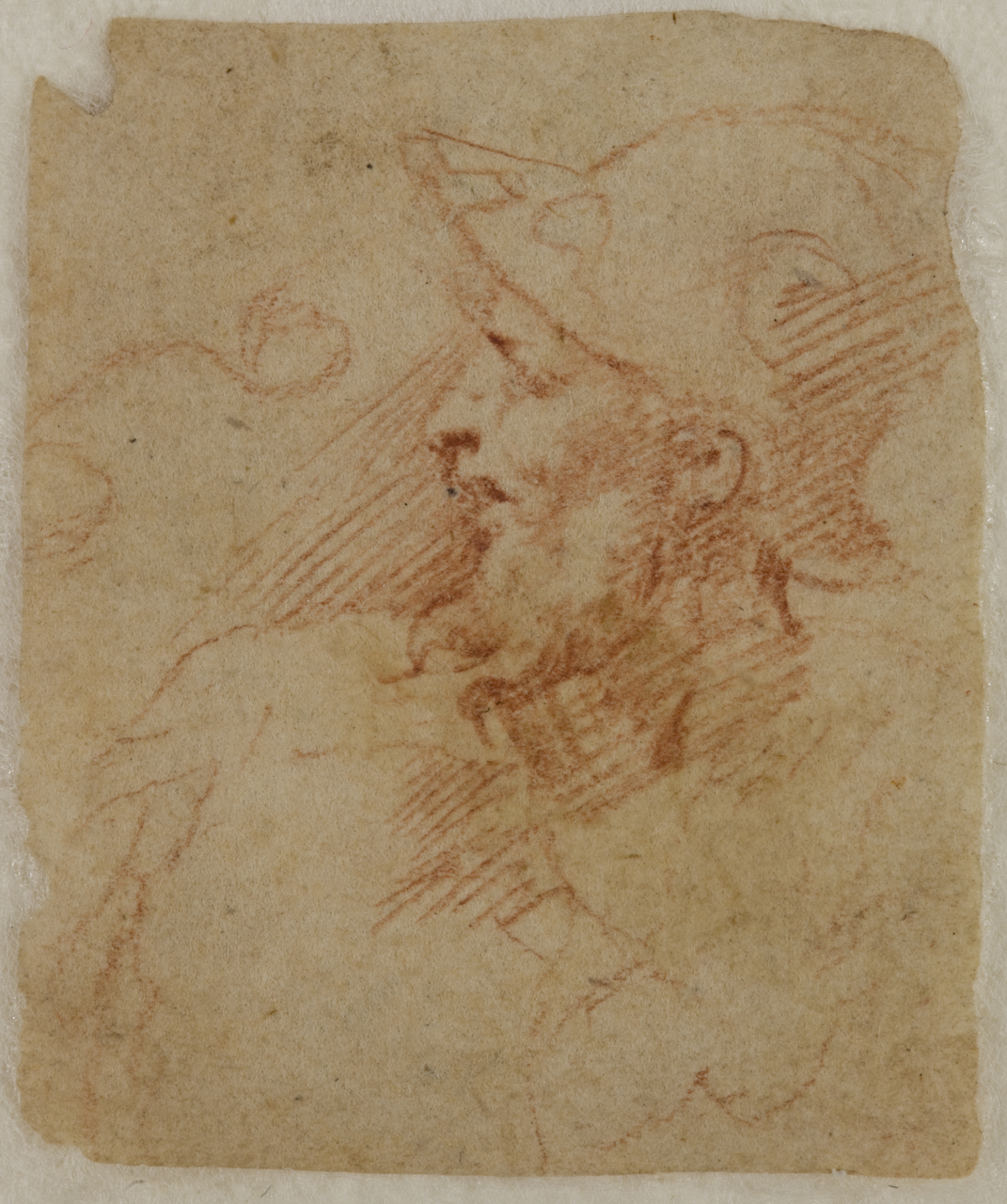 Testa di guerriero con elmo (disegno) di Mazzola Francesco detto Parmigianino (sec. XVI)