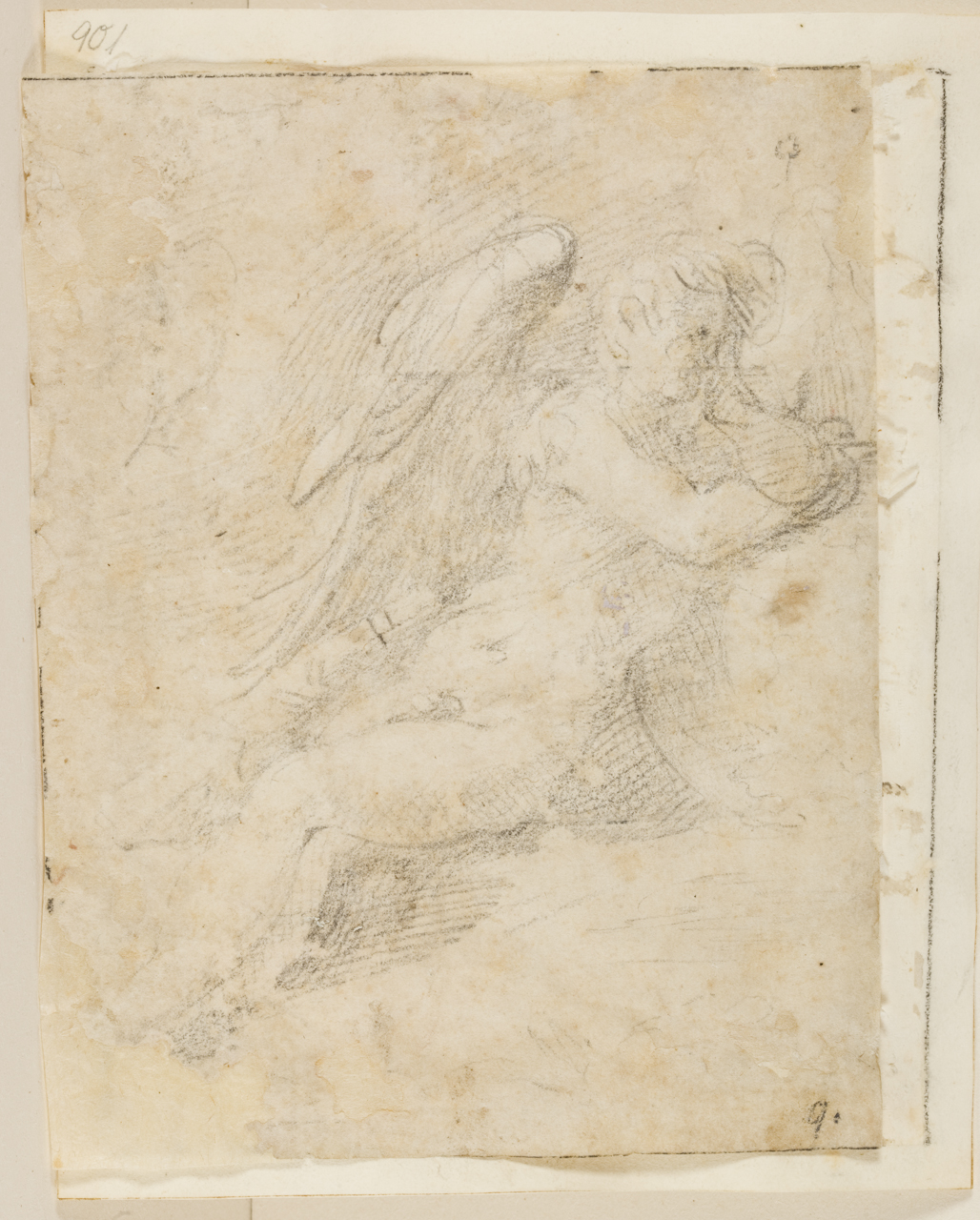 studio di angelo (disegno) di Mazzola Francesco detto Parmigianino (sec. XVI)