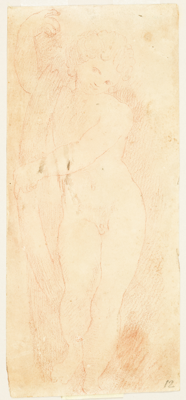 putto (disegno) - ambito italiano (sec. XVII)