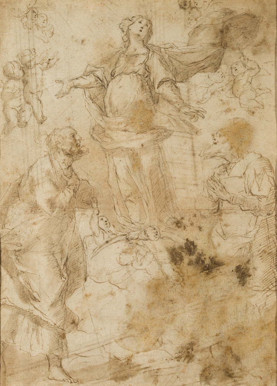 Studio per una Immacolata Concezione e santi (disegno) - ambito napoletano (sec. XVII)