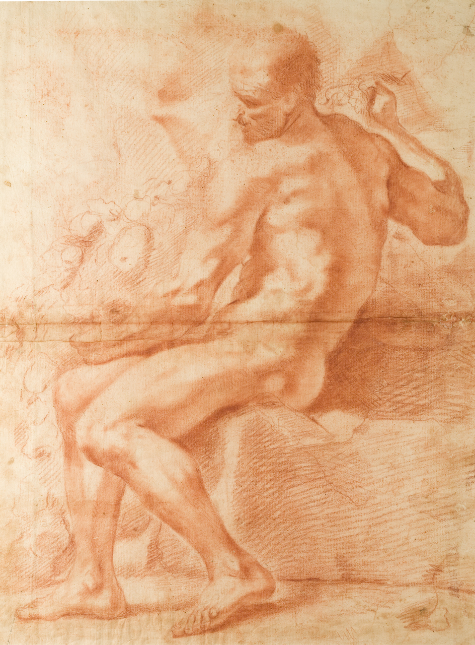 nudo maschile, studi di figure umane e di cammelli (disegno) di Traversi Gaspare (sec. XVII)