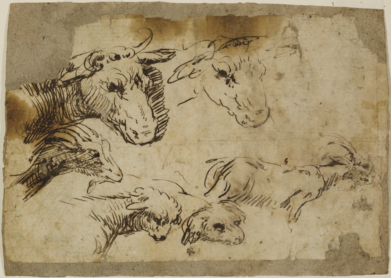 studi di animali (disegno) di Da Ponte Francesco detto Francesco Bassano il Giovane (seconda metà sec. XVI)