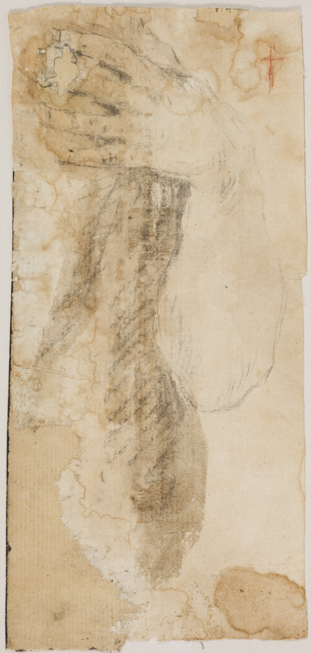 studio anatomico di braccio (disegno) di Castiglione Giovanni Benedetto detto Grechetto (attribuito) (sec. XVII)
