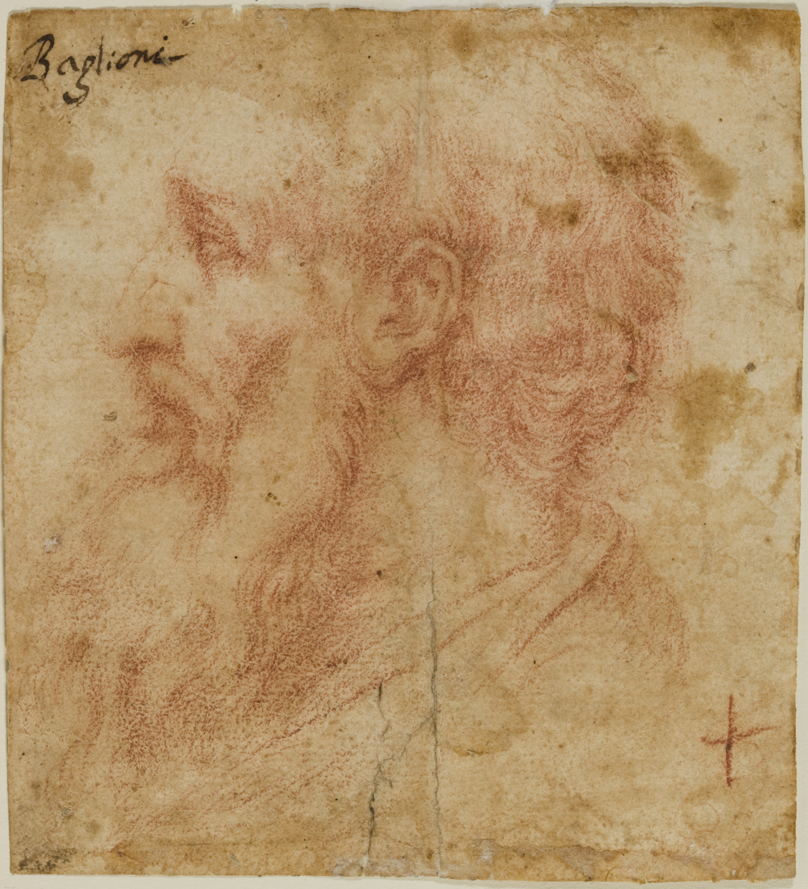 studio di testa di vecchio barbuto (disegno) di Baglione Giovanni (secc. XVI/ XVII)