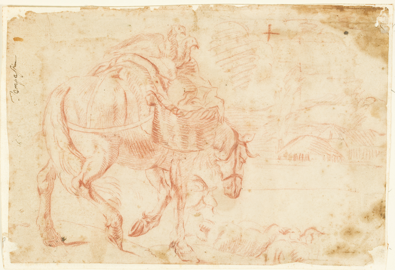 asinello (disegno) di Tempesta Antonio (secc. XVI/ XVII)