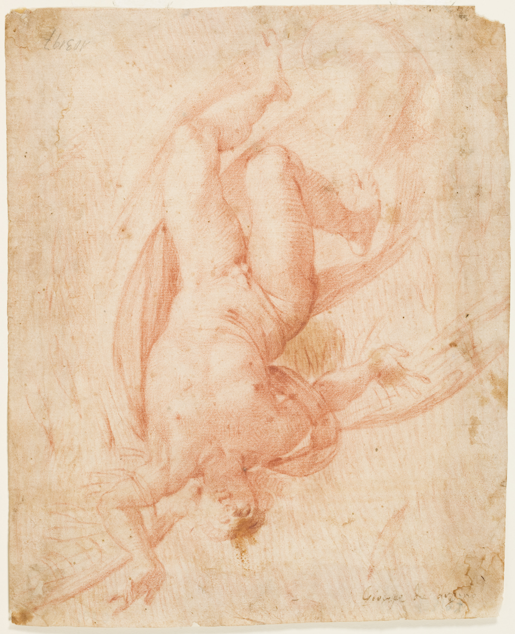 caduta di Icaro (disegno) di Cesari Giuseppe detto Cavalier d'Arpino (secc. XVI/ XVII)