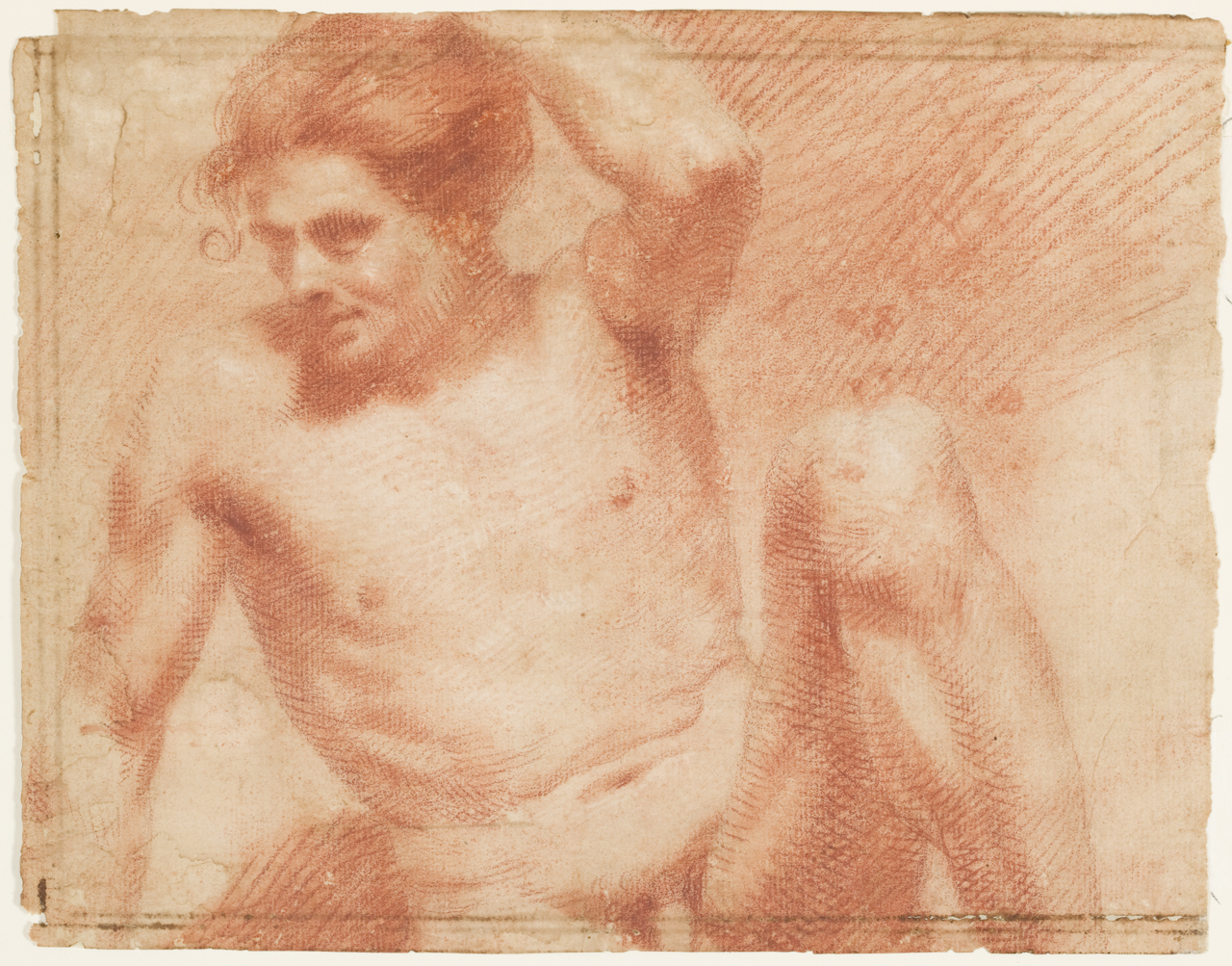 nudo virile, studio di testa d'uomo (disegno) di Giordano Luca (attribuito) (secc. XVII/ XVIII)