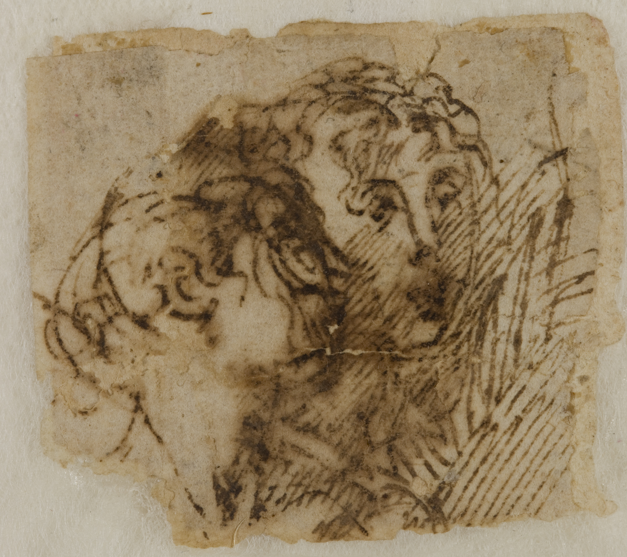 studio di teste (disegno) di Mazzola Francesco detto Parmigianino (attribuito) (sec. XVI)