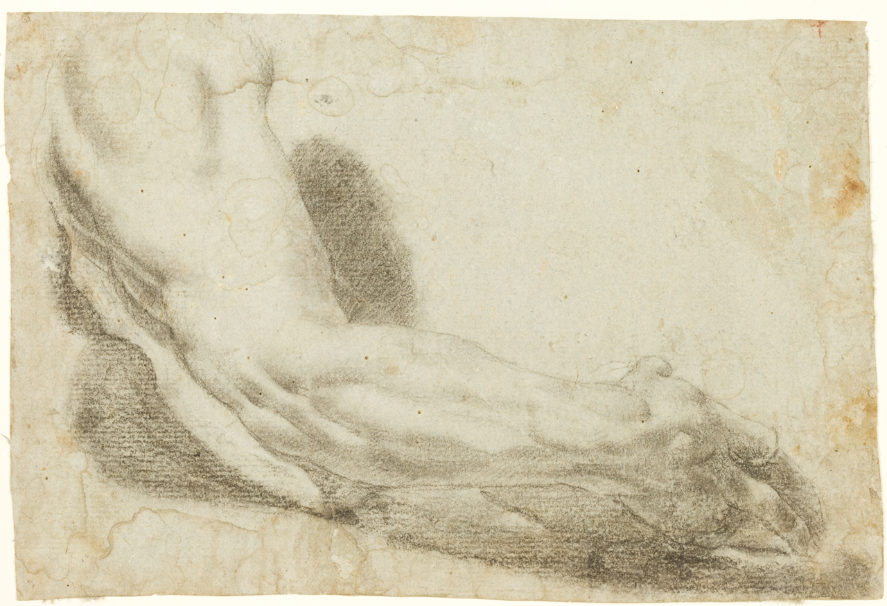 studio di mano (disegno) di Vasari Giorgio (attribuito) (sec. XVI)