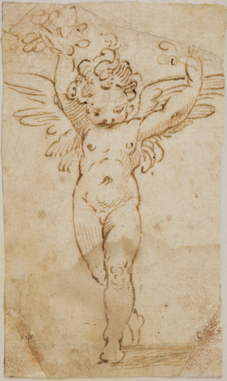 putto (disegno) di Marchetti Marco detto Marco da Faenza (sec. XVI)