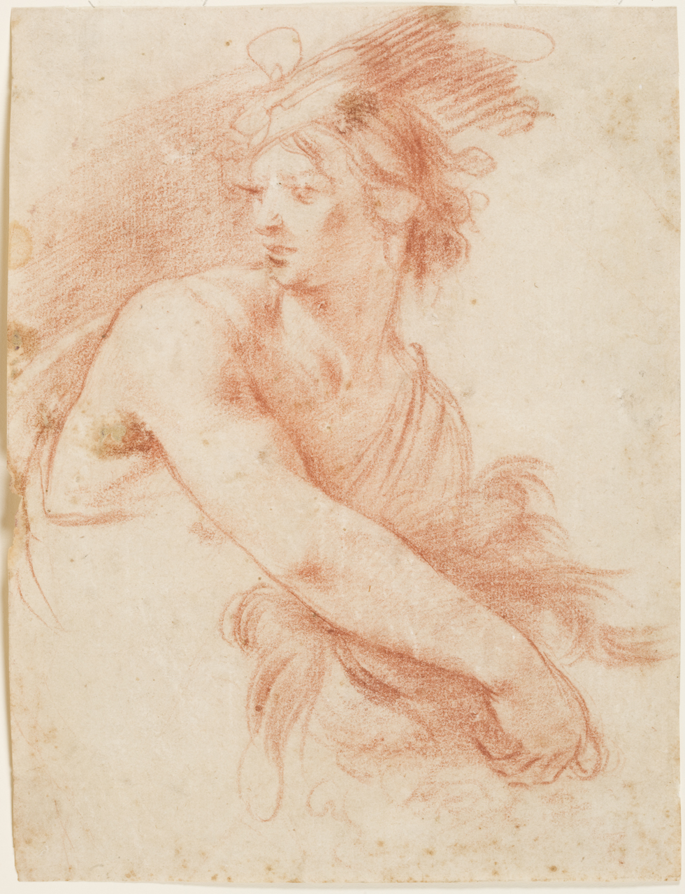 David (disegno) di Furini Francesco (sec. XVII)
