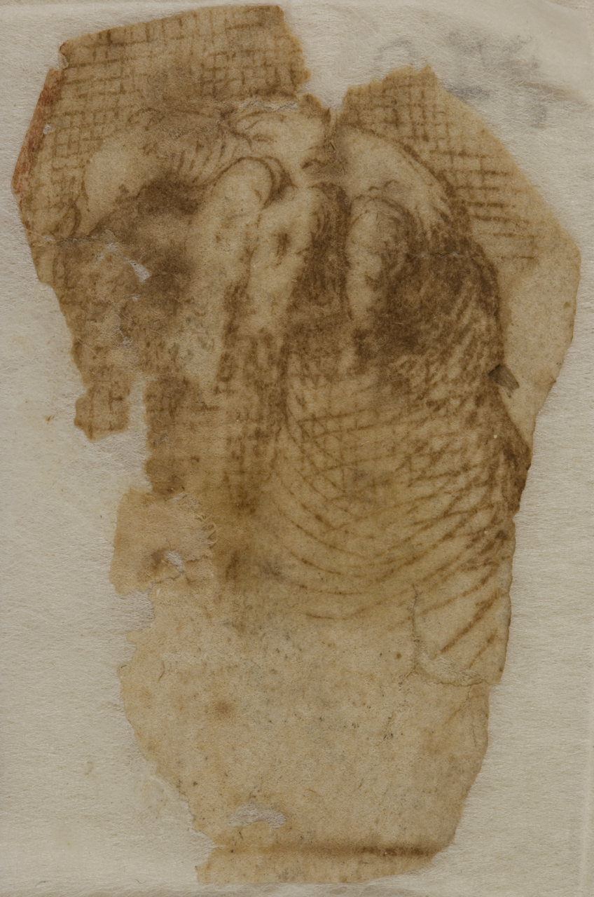 studio di mano (disegno) di Mazzola Francesco detto Parmigianino (attribuito) (prima metà sec. XVI)