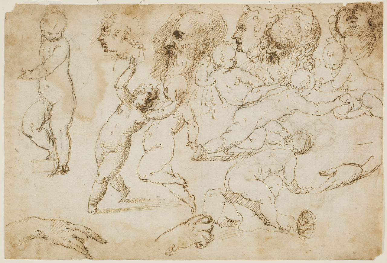 Studio di putti e di particolari anatomici, busto femminile (disegno) di Negretti Jacopo detto Jacopo Palma il Giovane (sec. XVI)