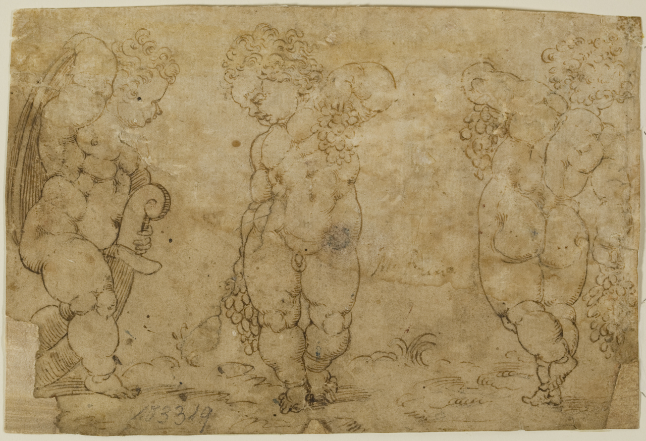 studio di putti (disegno) di Bandinelli Bartolomeo detto Baccio Bandinelli (attribuito) (sec. XVI)