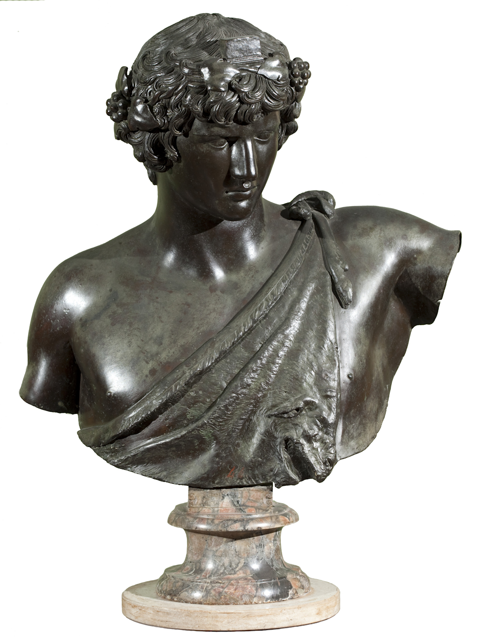 Antinoo (busto) di Della Porta Guglielmo (sec. XVI)