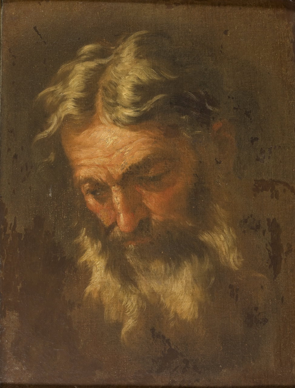testa di vecchio (dipinto) di Malinconico Andrea (terzo quarto sec. XVII)