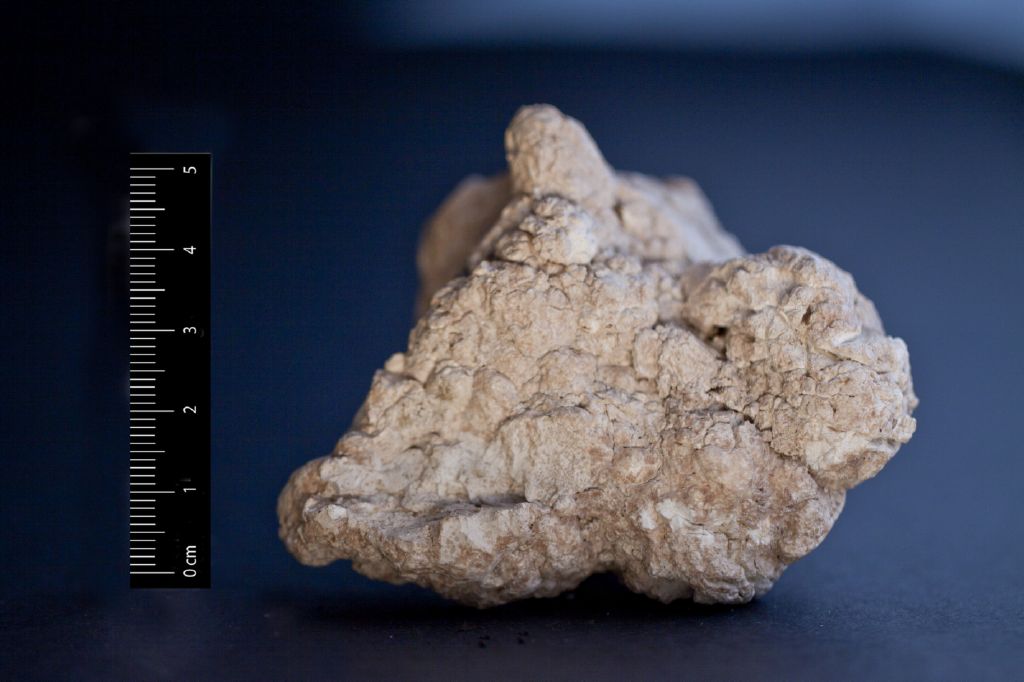 Magnesite (esemplare)