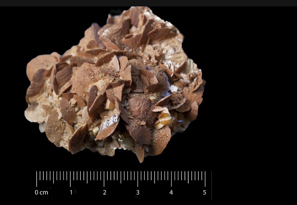 Siderite (esemplare)