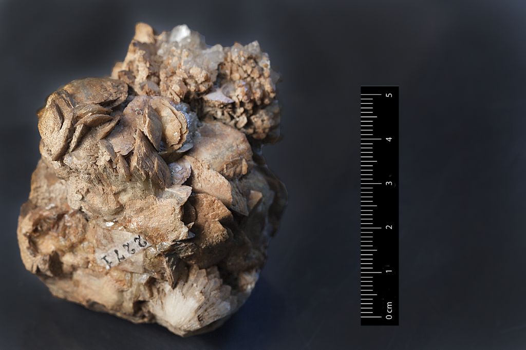 Siderite (esemplare)