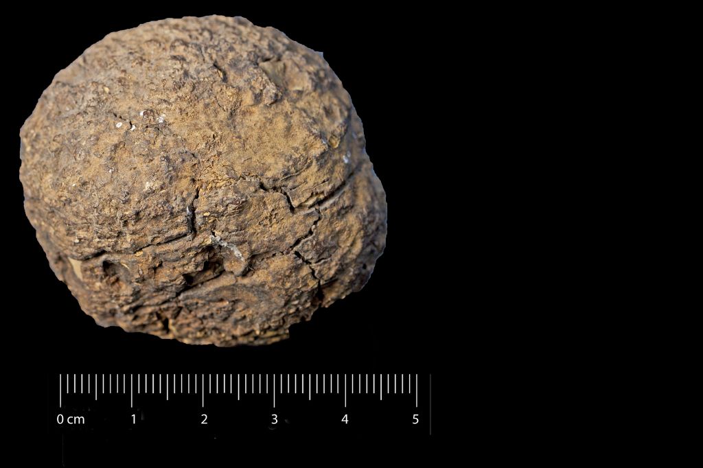 Sferosiderite (esemplare)
