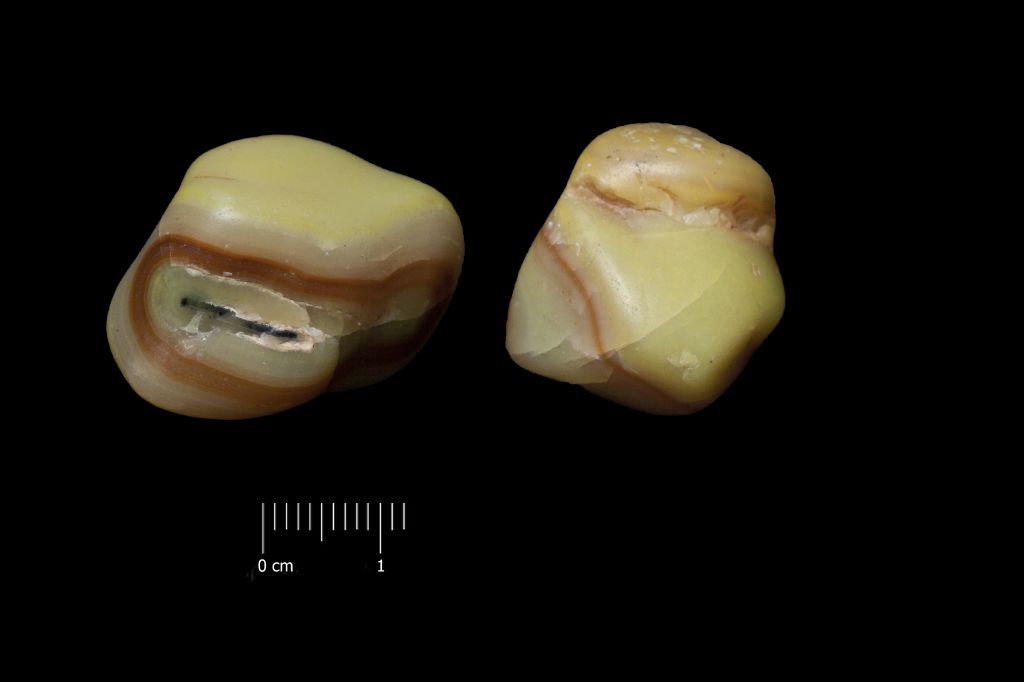 Smithsonite (serie)