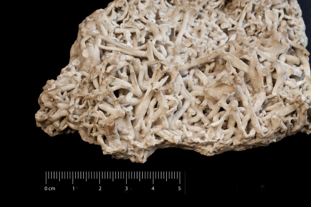 Aragonite (esemplare)