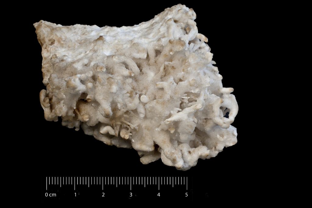 Aragonite (esemplare)