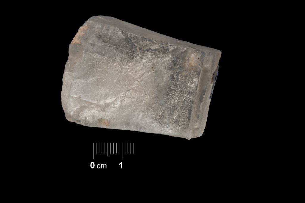 Salgemma (esemplare)