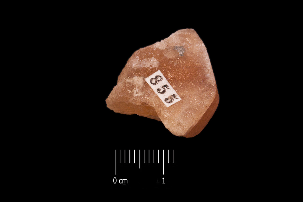 Salgemma (esemplare)