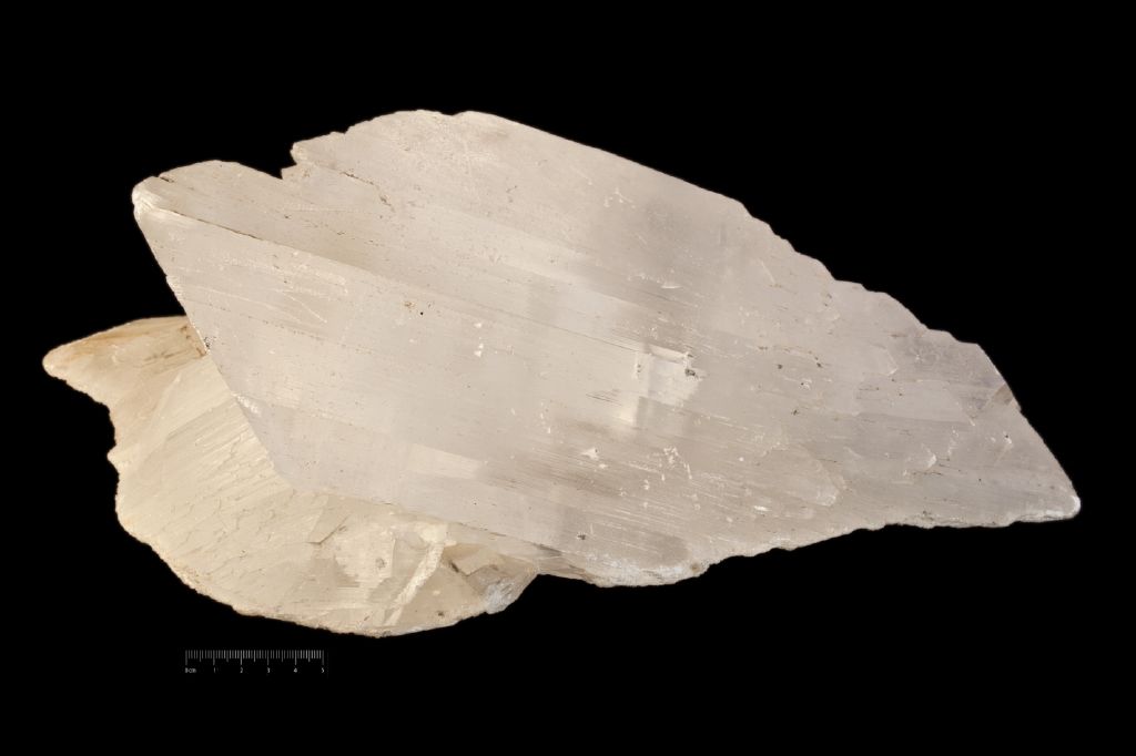 Gesso (esemplare)