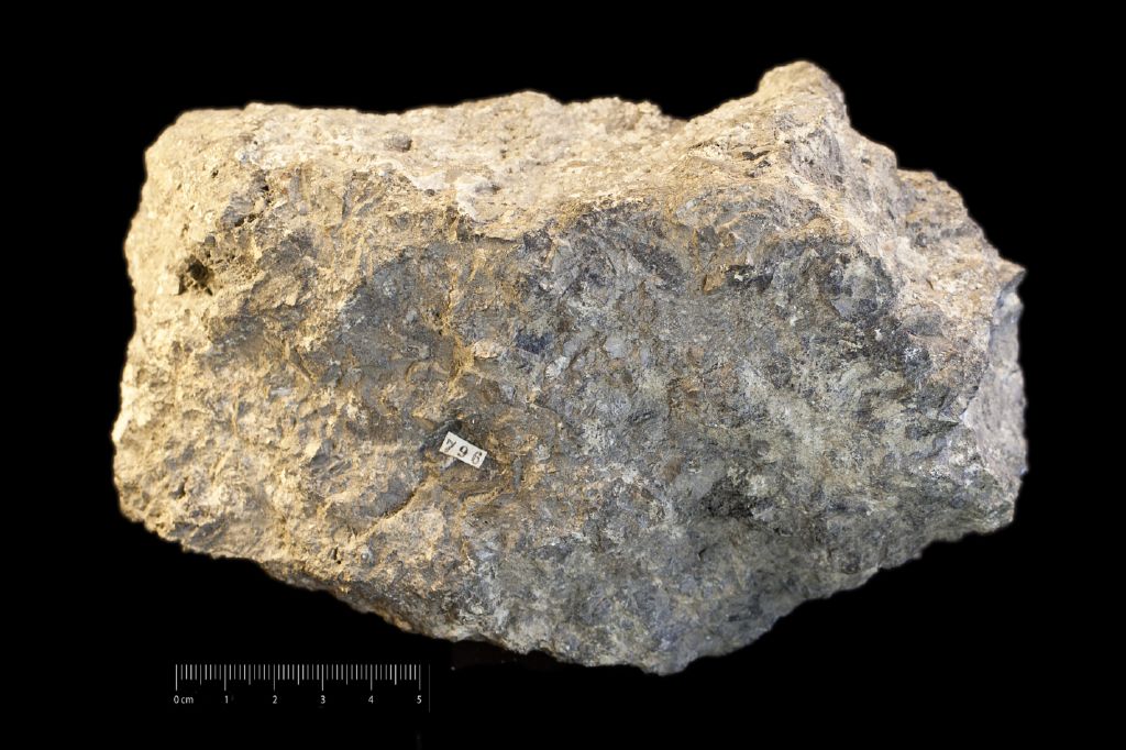 Arsenopirite (esemplare)