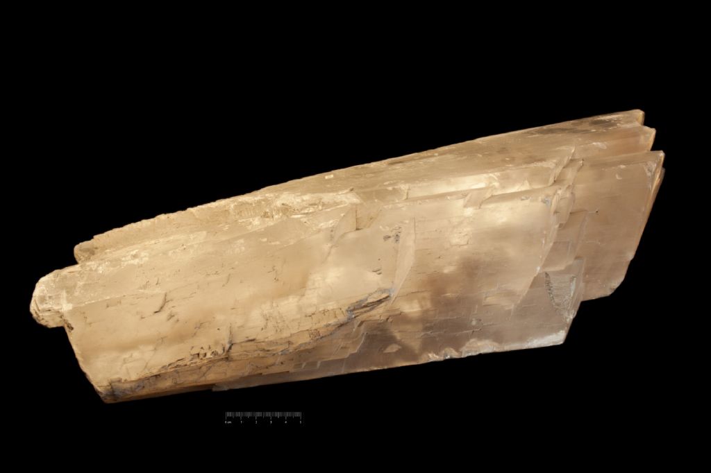 Gesso (esemplare)