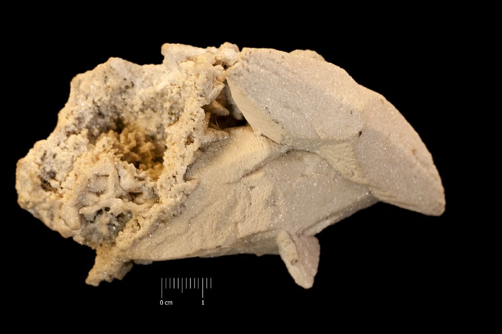 Calcite (esemplare)