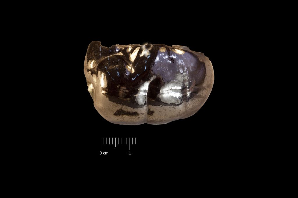 Limonite (esemplare)