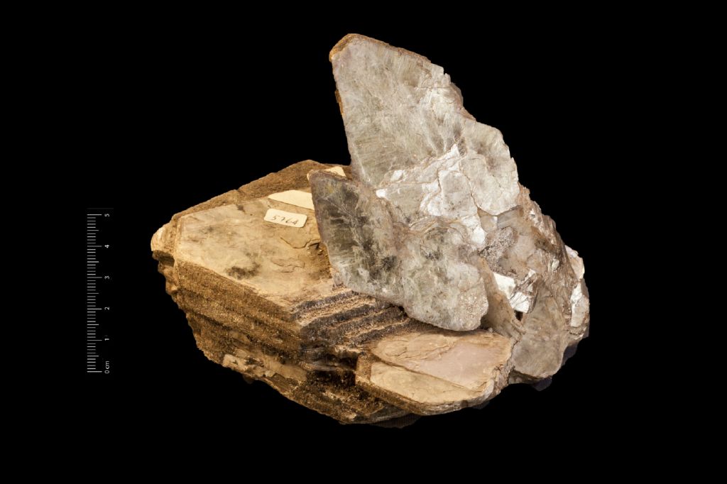 Muscovite (esemplare)