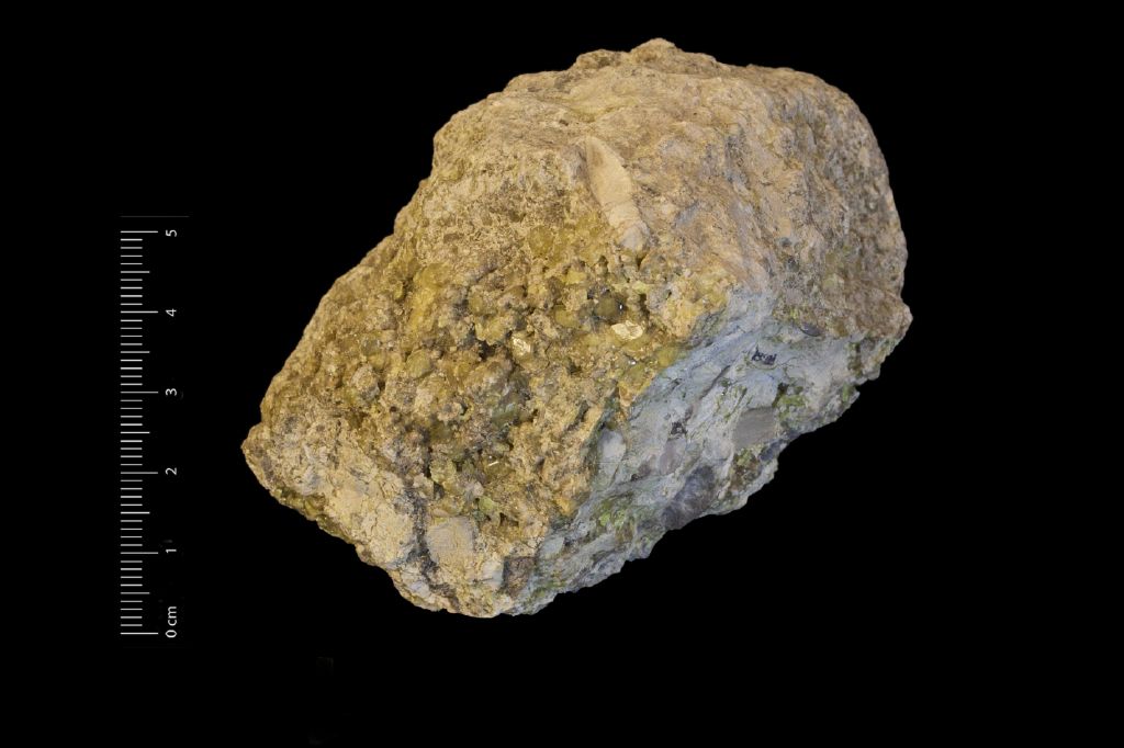 Zolfo (esemplare)