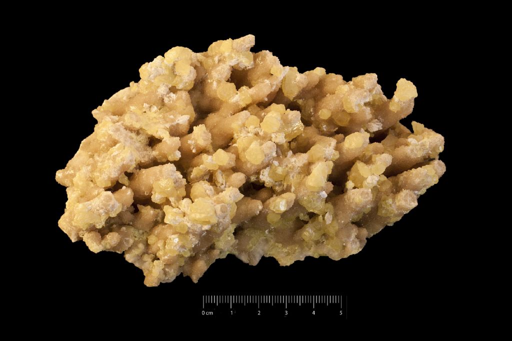 Zolfo (esemplare)