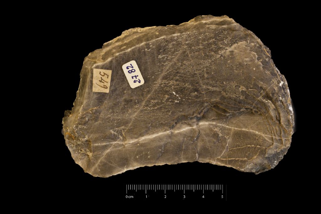 Aragonite (esemplare)